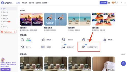 智能識別與圖像擦除 支持百種語言與API接口的綜合解決方案